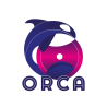 Orca coaching
